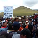 articulo29 003