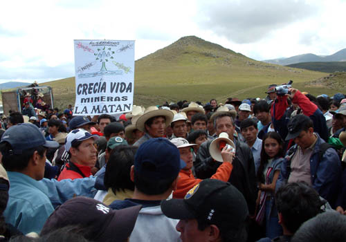 articulo29 003